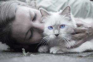 cat