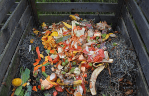 compost