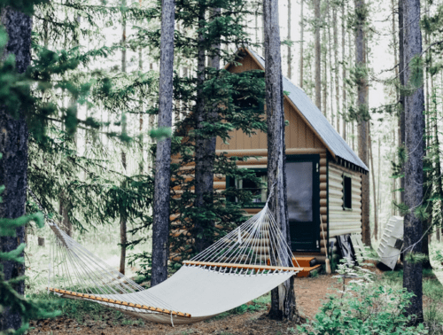 off grid living
